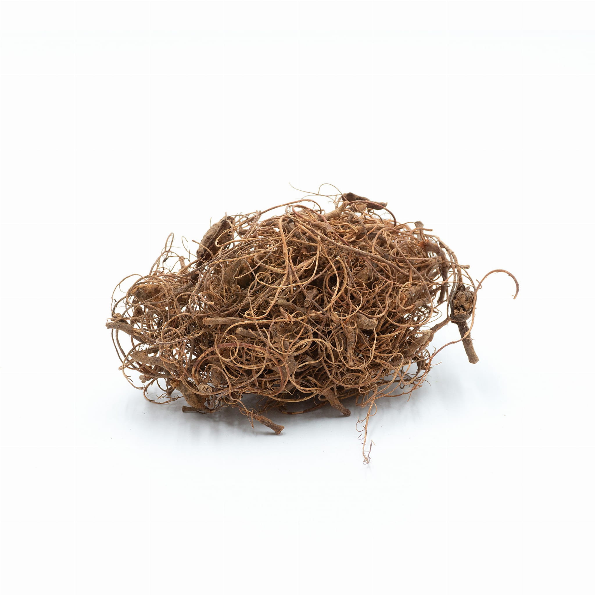 BioIndian Roots Korzonki Indyjskie, korzenie do terrarium 25g