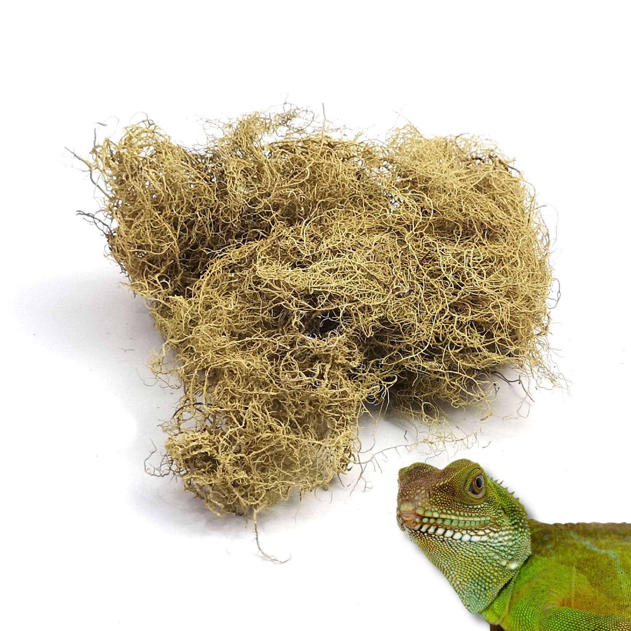 BioRock Moss Mech skalny 25g