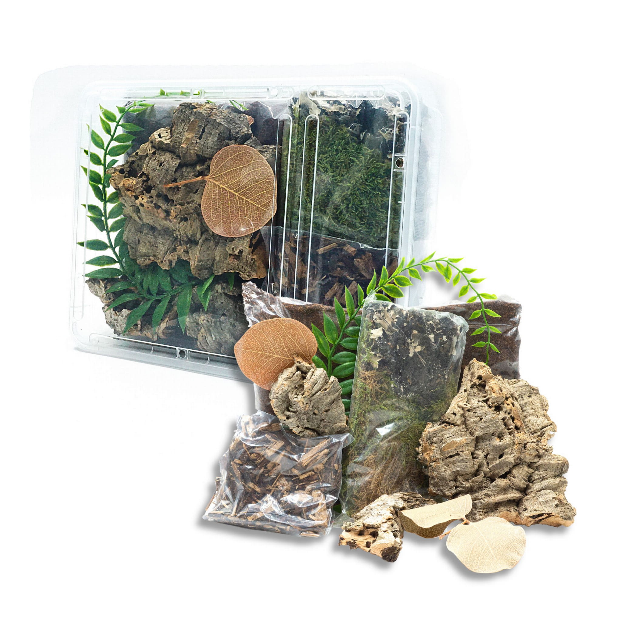 Zestaw pajęczarza, terrarium dla pająków M