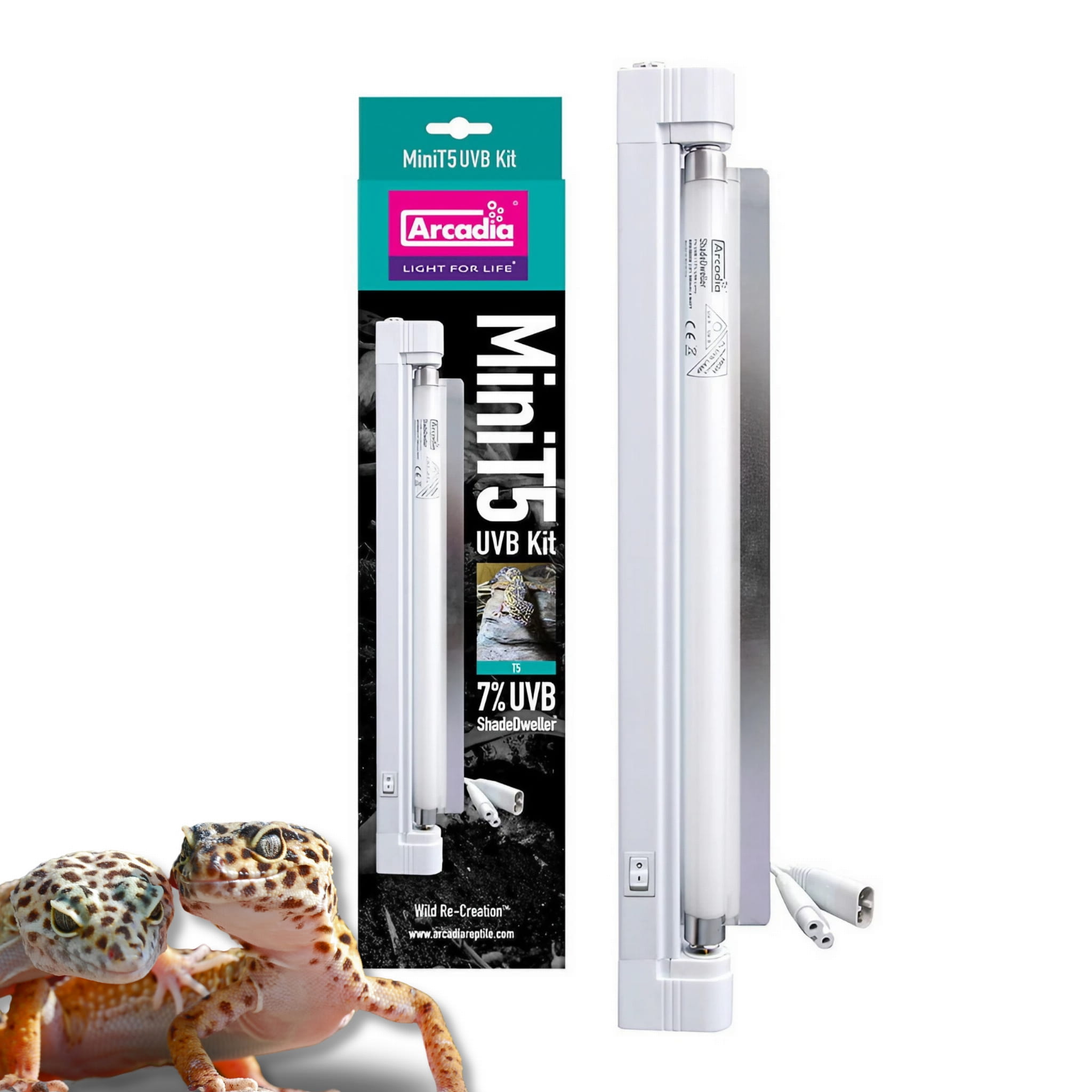 Lampa dla Gekona Lamparciego Arcadia Mini T5 Kit | 8W 7% UVB /17% UVA / KOMPLET