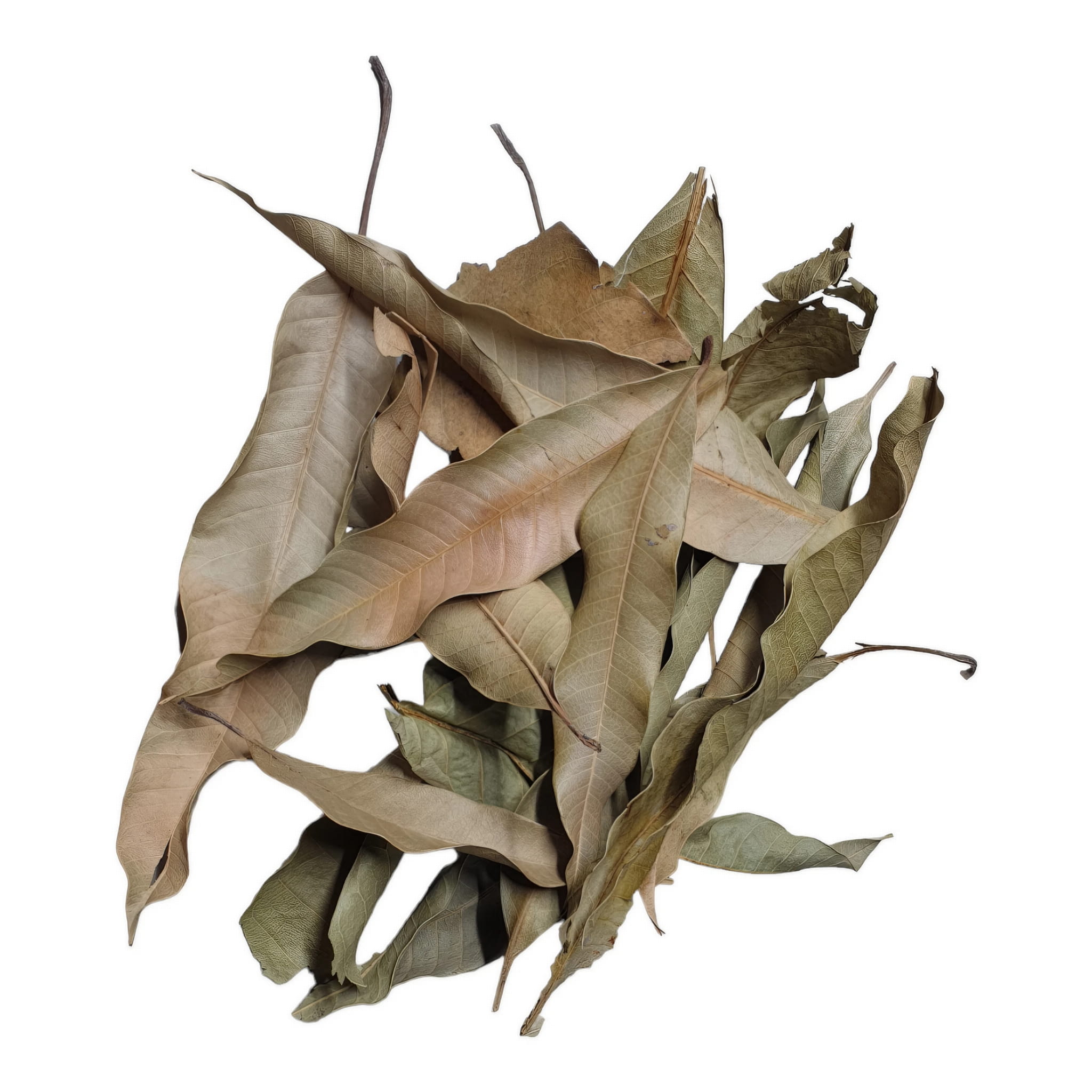 BioThai Mango Leaves Liście Mango 20g