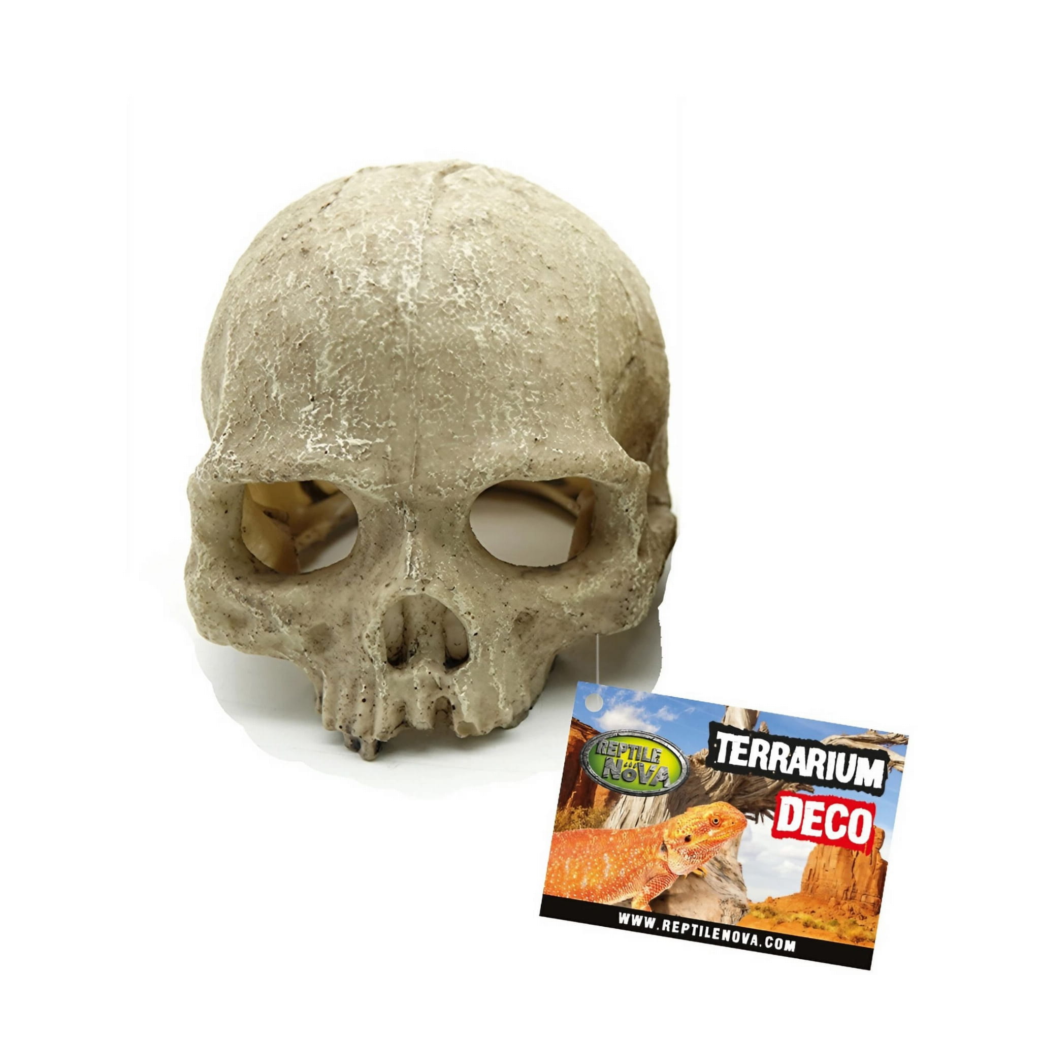 Reptile Nova Skull Czaszka Naczelnego Dekoracja do terrarium 11x14cm