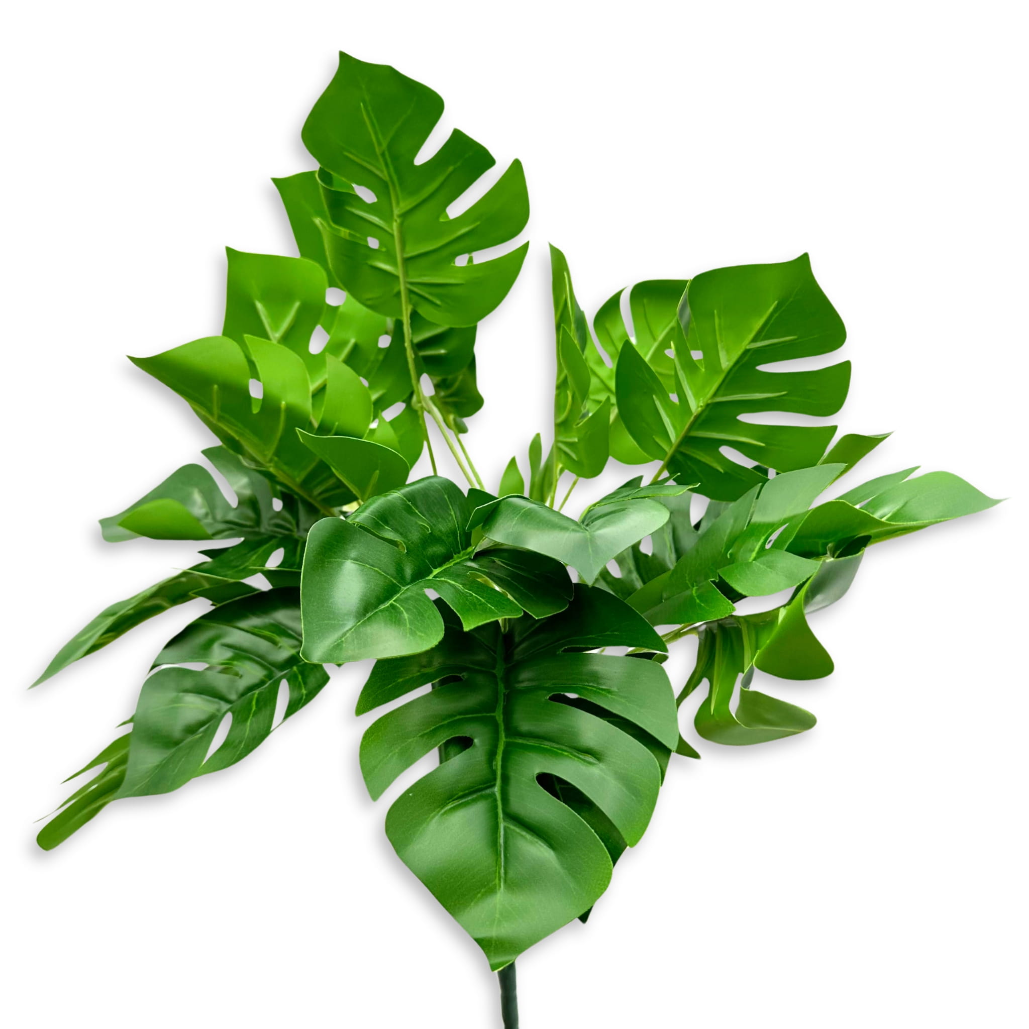 Monstera / Filodendron 50cm rolina sztuczna | Sklep Terrarystyczny Bioterr