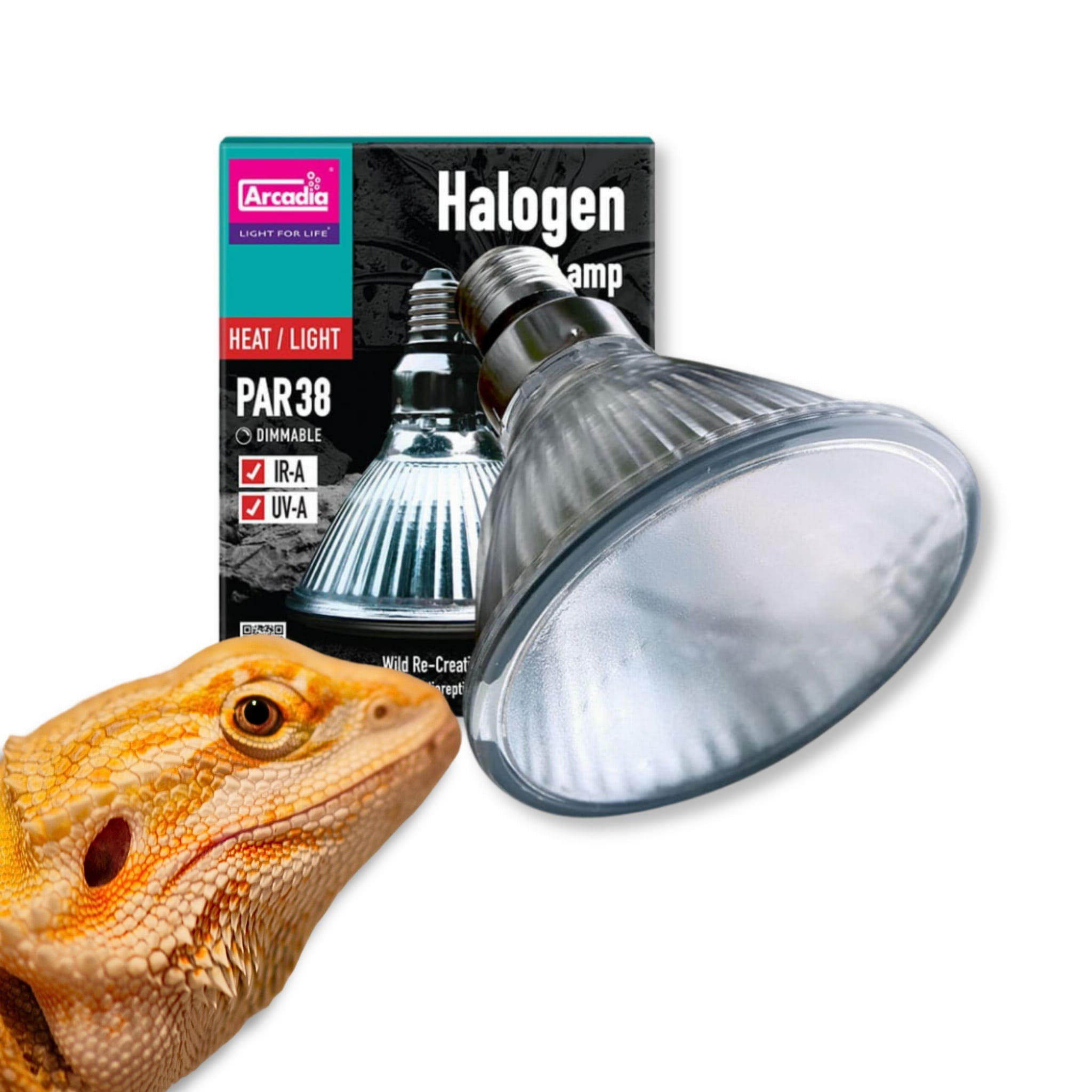 ARCADIA żarówka grzewcza halogenowa spot (UVA) 35 - 100W