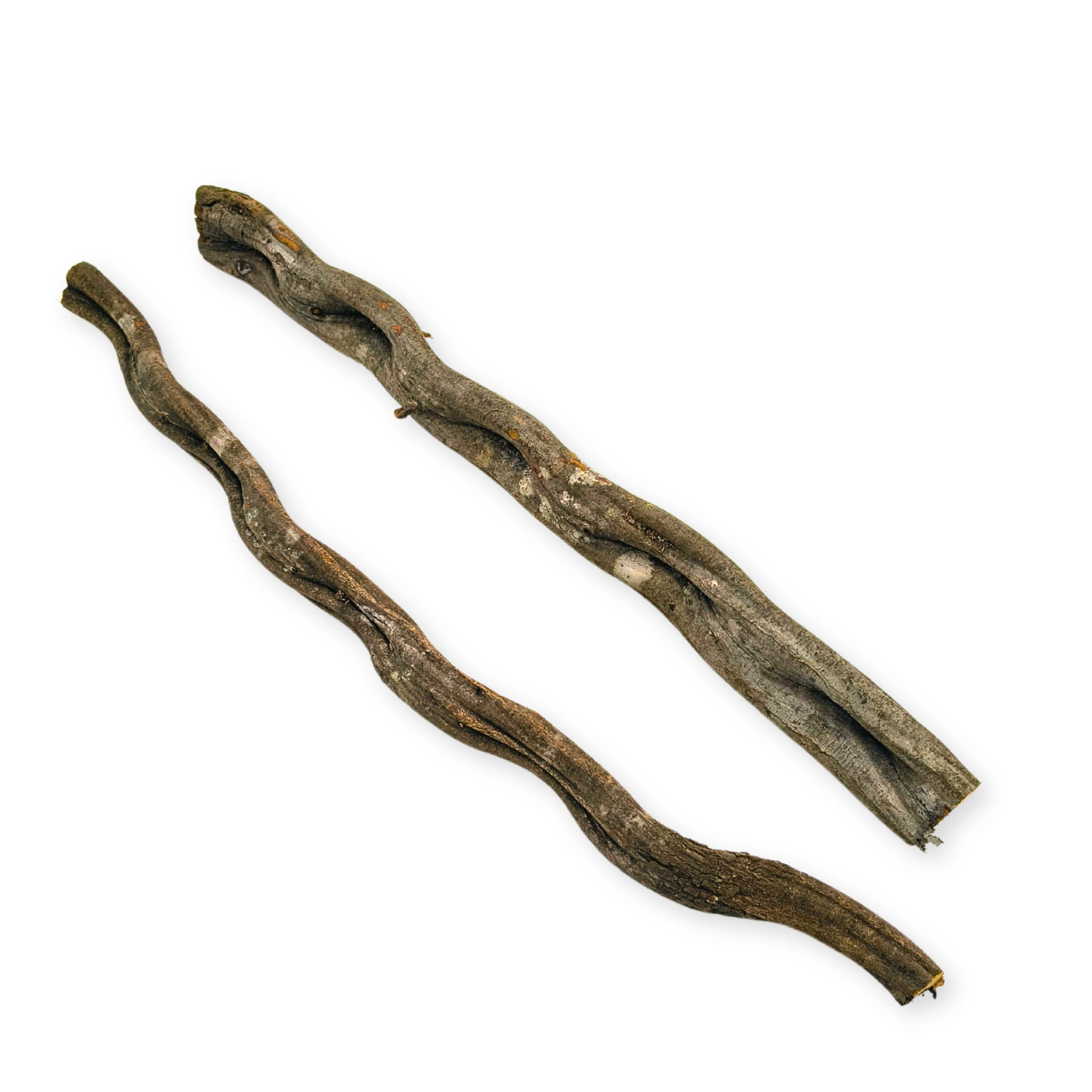 Liana gruba brazylijska ciemnobrązowa do terrarium 50cm