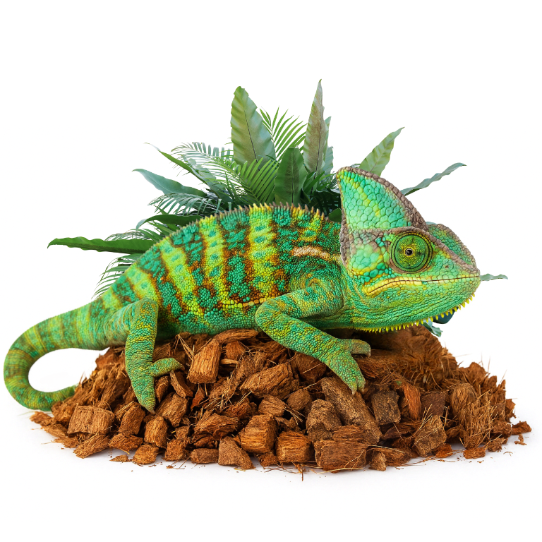 Podłoże kokosowe CHIPS  do terrarium 5-20L