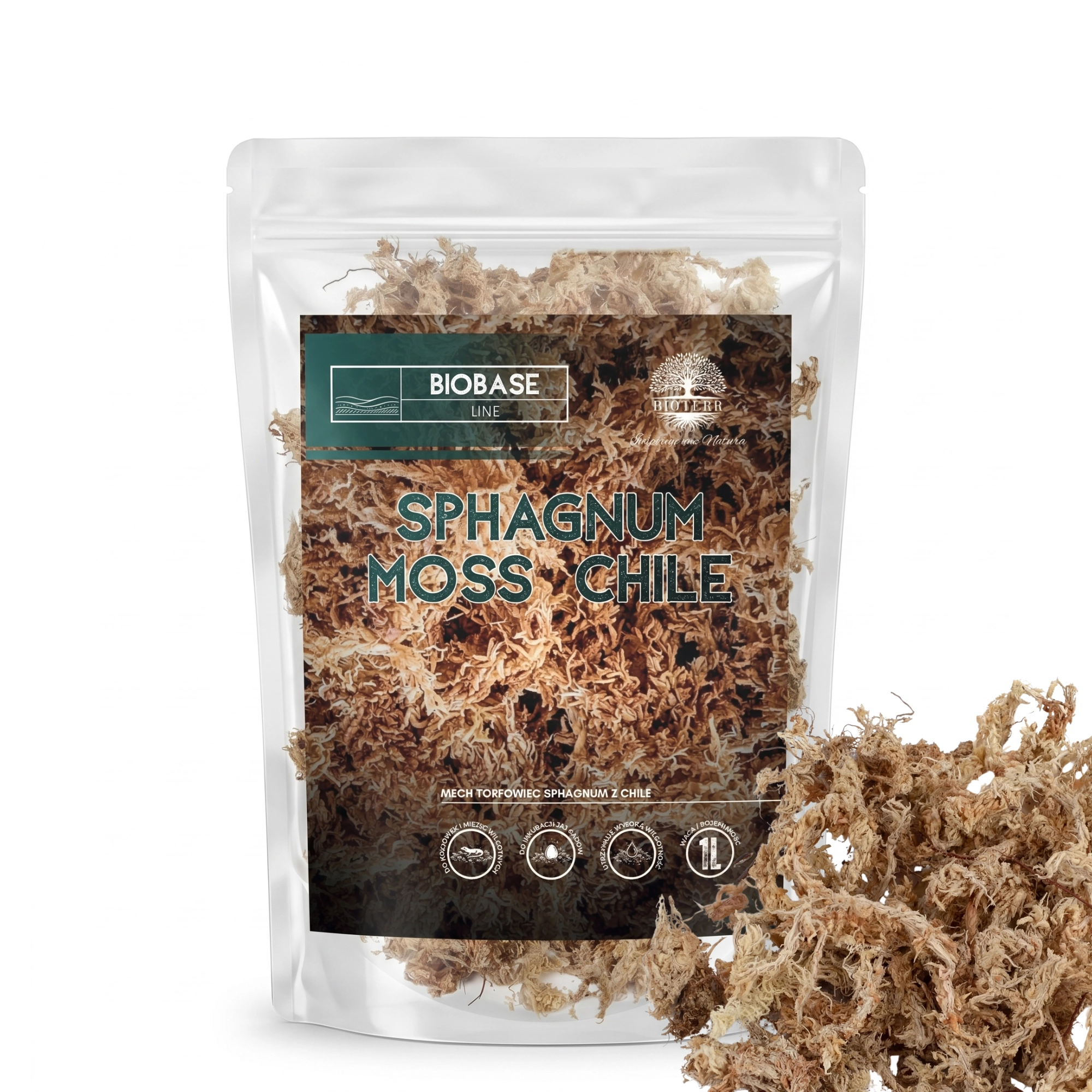 Mech torfowiec sphagnum chilijski | BioBase Sphagnum Moss Chile