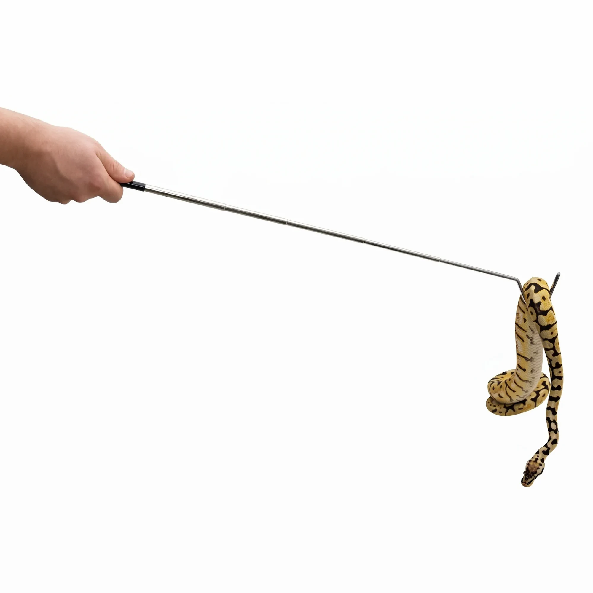 Hak ofiologiczny Repti-Zoo 60 cm – bezpieczna manipulacja wężem