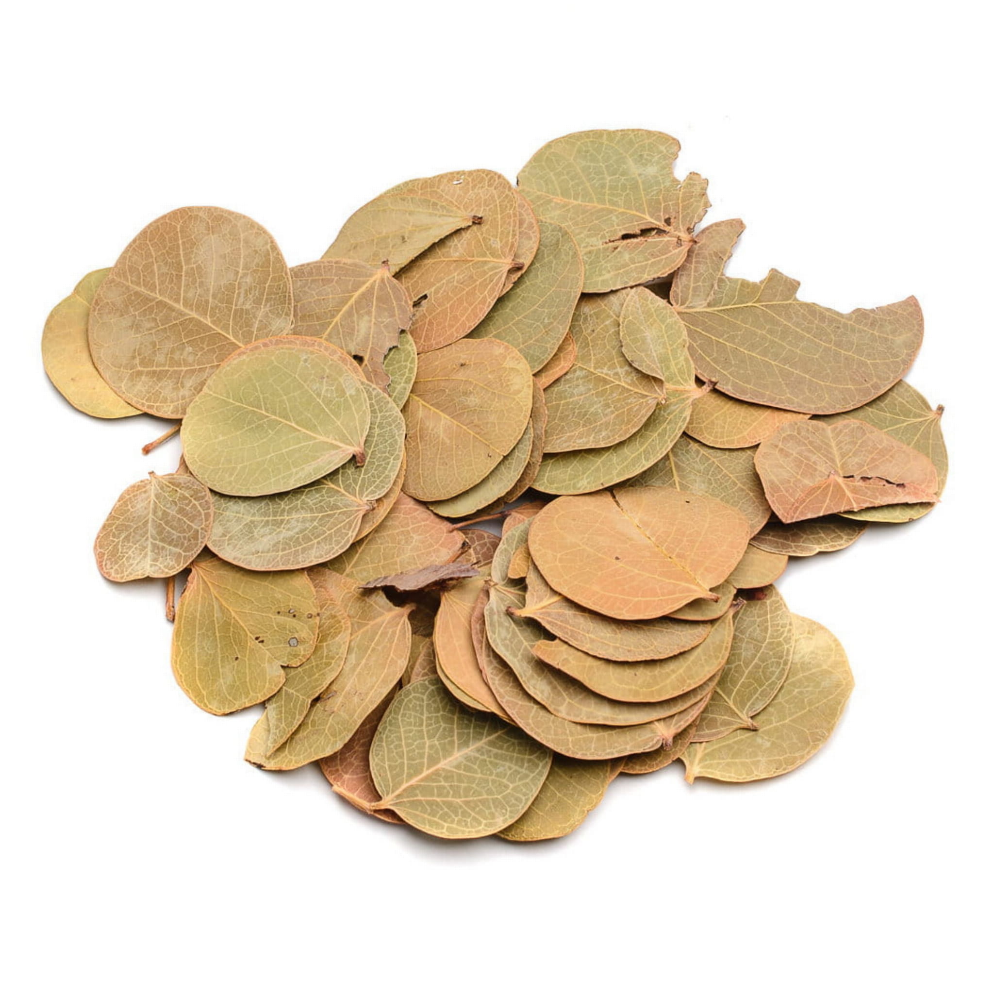 BioCoin Leafs Listki do aranżacji terrarium 15g